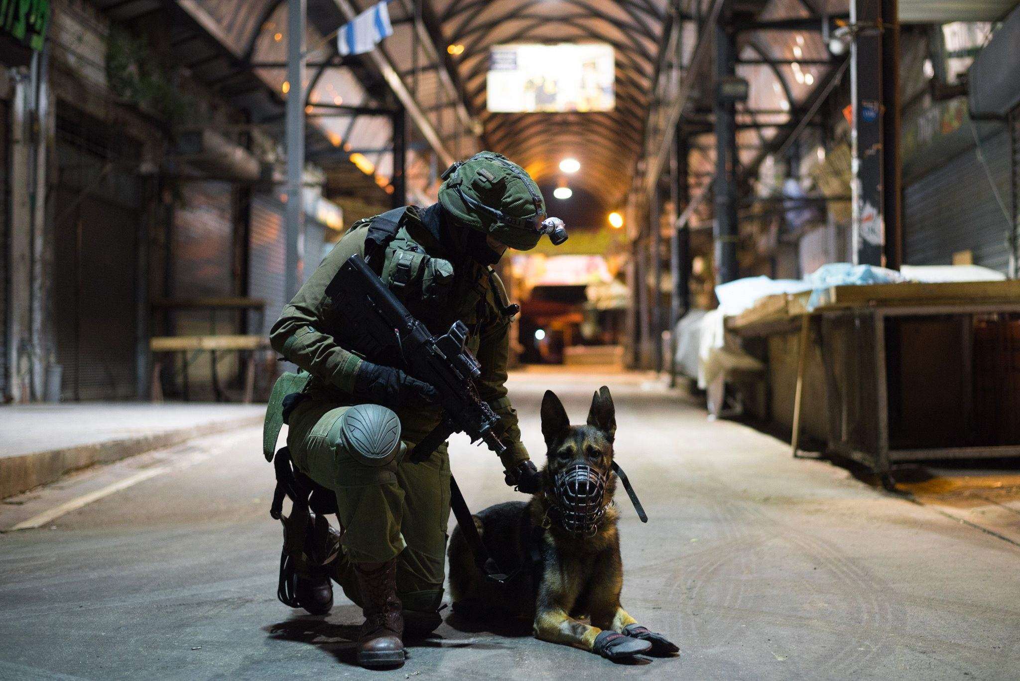 Hunder har mange oppgaver i det israelske forsvaret. (Foto: Eden Brian/IDF)